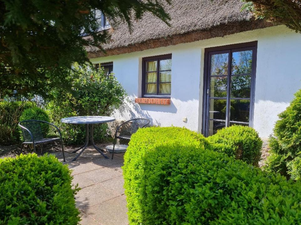 Ferienwohnung Alte Und Neue Buednerei Groß Zicker Exterior foto