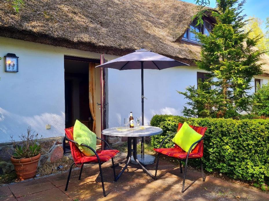 Ferienwohnung Alte Und Neue Buednerei Groß Zicker Exterior foto